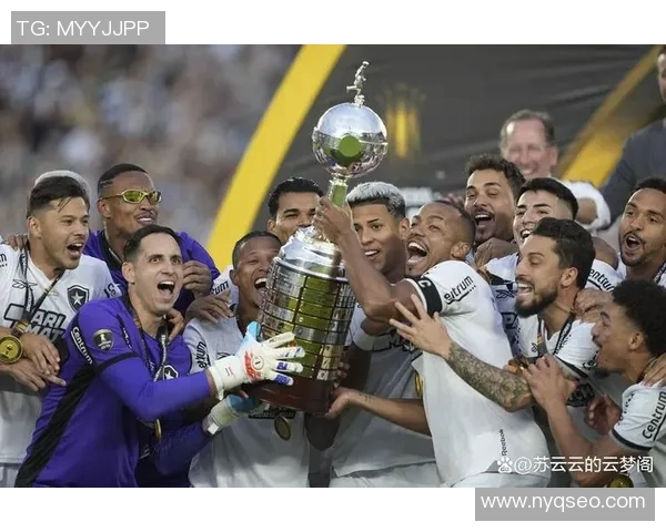 亳州足球明星的璀璨星空揭示了他们的奋斗与荣耀之路